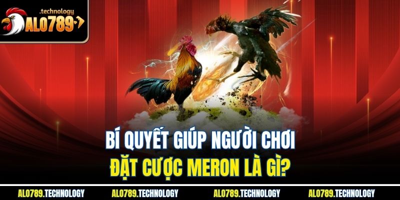 Bí quyết giúp người chơi đặt cược meron là gì?