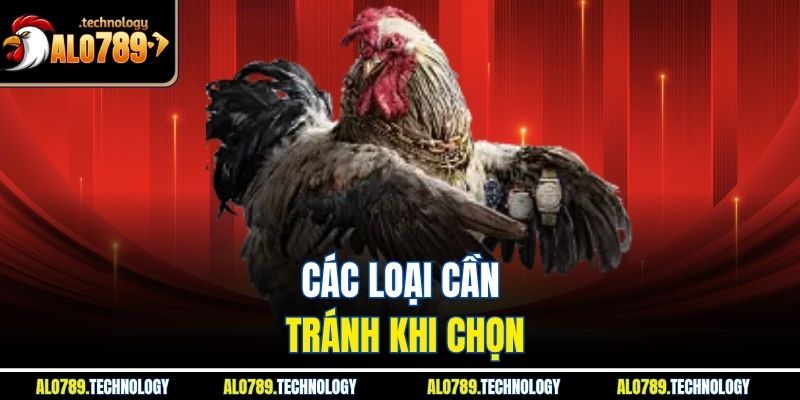 Các loại cần tránh khi chọn