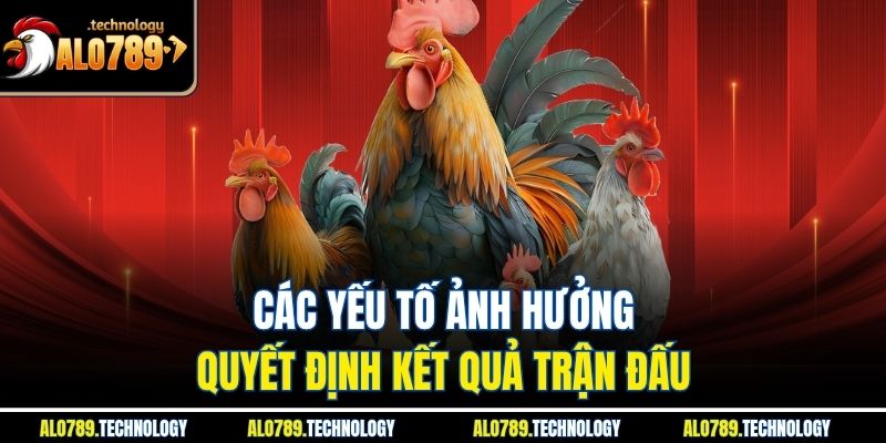 Các yếu tố ảnh hưởng quyết định kết quả trận đấu