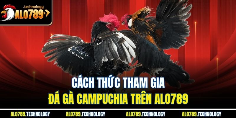 Cách thức tham gia đá gà Campuchia trên Alo789