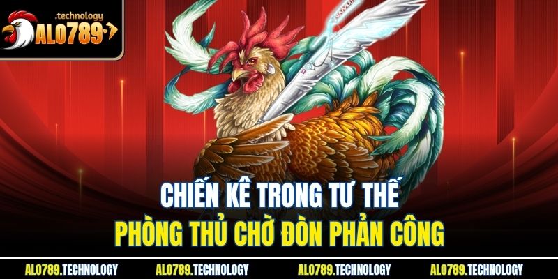 Chiến kê trong tư thế phòng thủ chờ đòn phản công