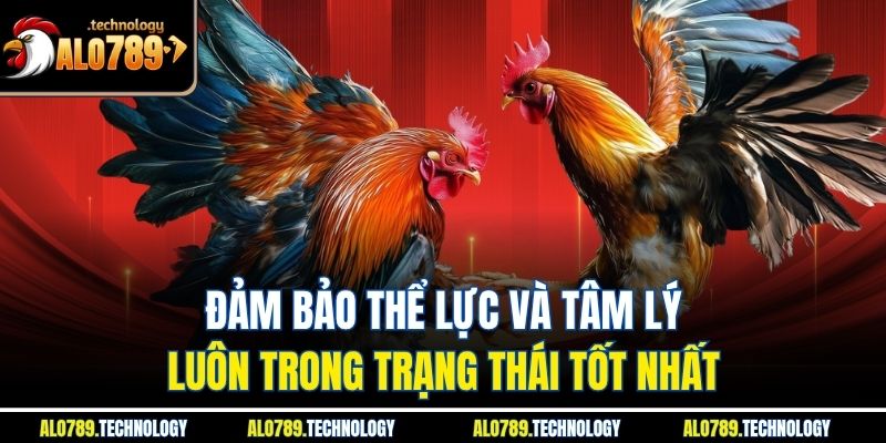 Đảm bảo thể lực và tâm lý luôn trong trạng thái tốt nhất