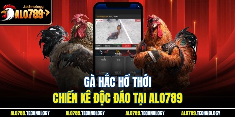 Gà hắc hổ thới – Chiến kê độc đáo tại Alo789