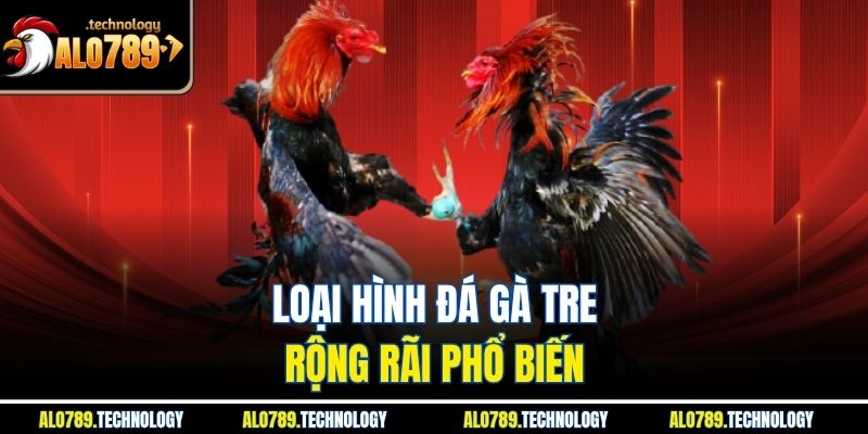 Loại hình đá gà tre rộng rãi phổ biến