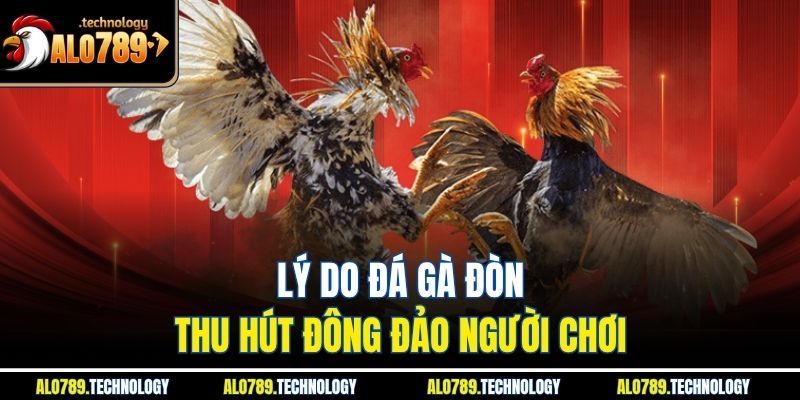 Lý do đá gà đòn thu hút đông đảo người chơi