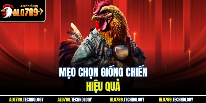 Mẹo chọn giống chiến hiệu quả