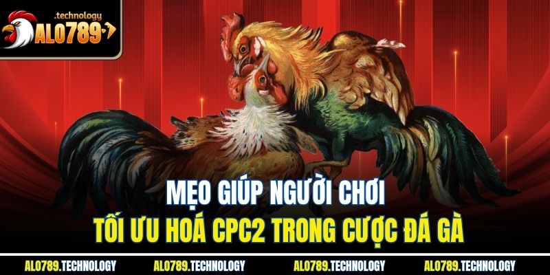 Mẹo giúp người chơi tối ưu hoá CPC2 trong cược đá gà