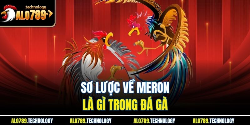 Sơ lược về meron là gì trong đá gà